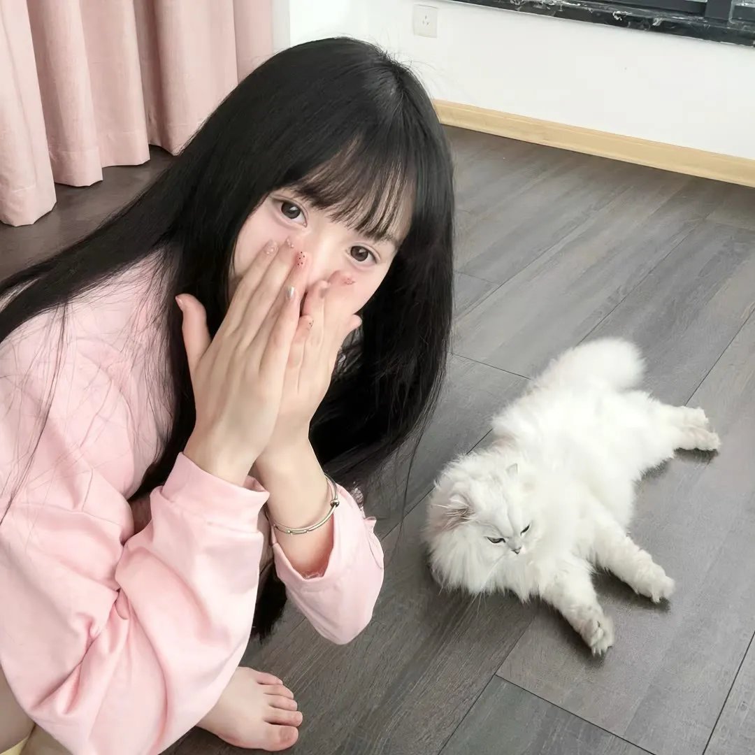 我爱莎拉简